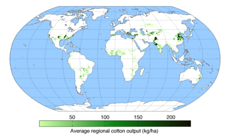 Cottonyield