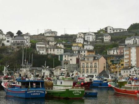 La historia de un gran lobo dio nombre a una ciudad asturiana: Luarca