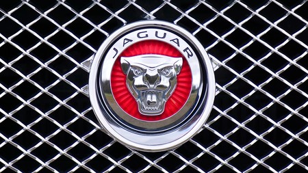 Jaguar 1660955 960 720
