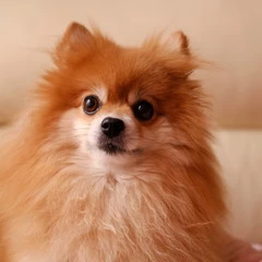 Foto 4 de 20 de la galería fujifilm-x-t2-12-fotos en Xataka Foto