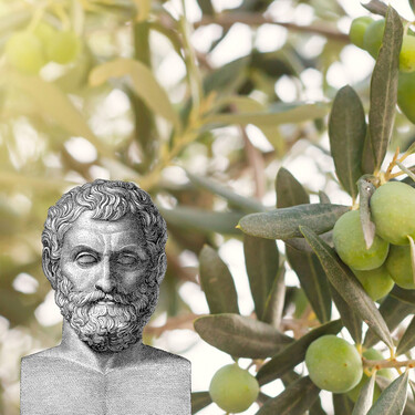 Especular con el aceite de oliva no es moderno: ya lo hizo un filósofo de la Antigua Grecia para demostrar que era más listo que el resto (y lo dejaran en paz) 