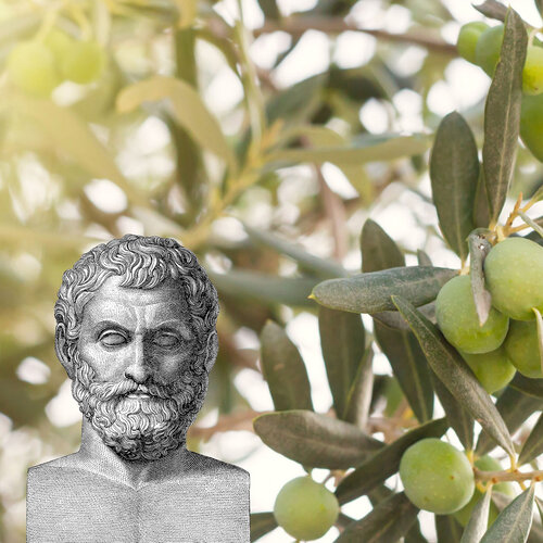 Especular con el aceite de oliva no es moderno: ya lo hizo un filósofo de la Antigua Grecia para demostrar que era más listo que el resto (y lo dejaran en paz) 