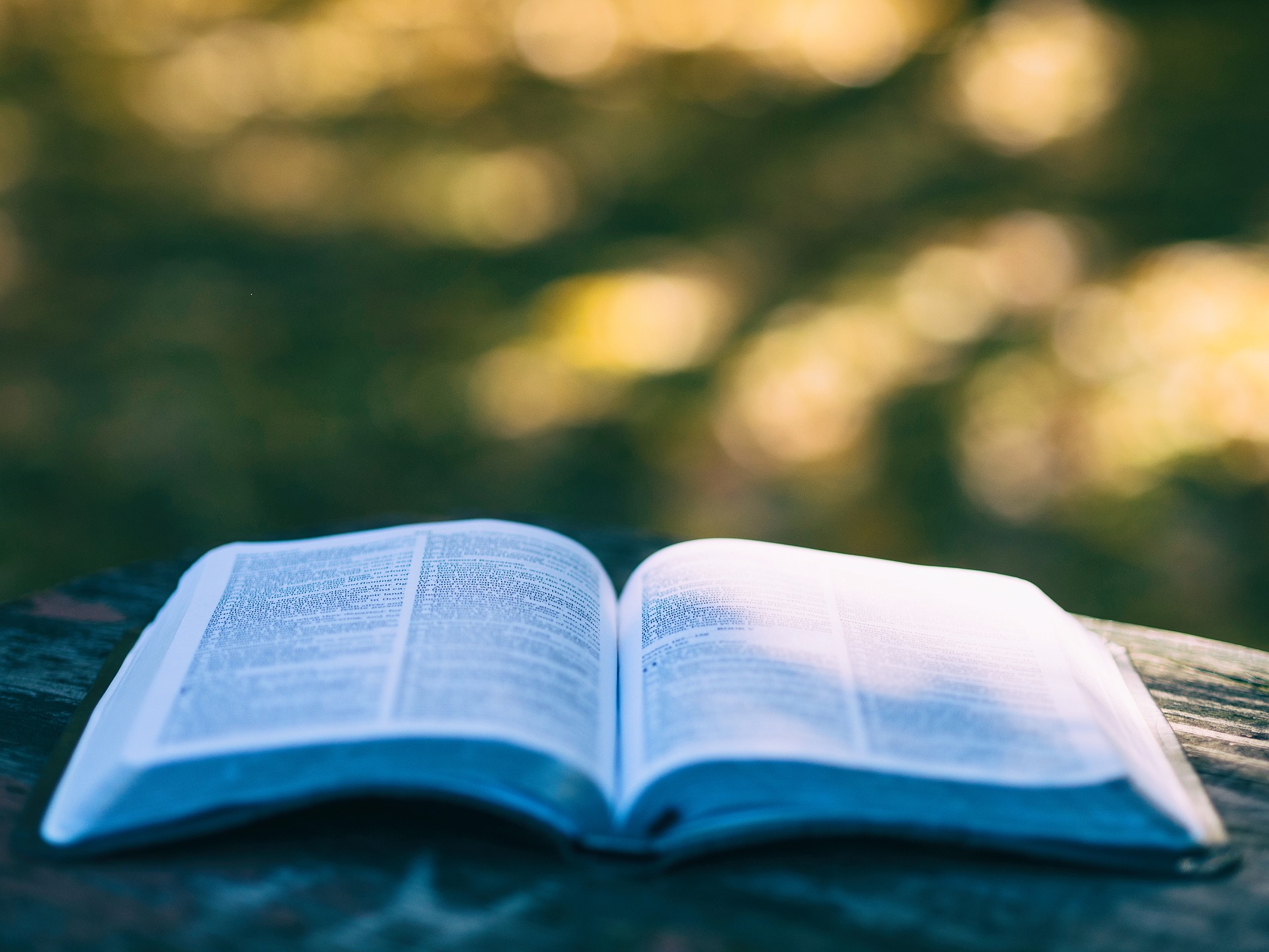 Como dejar fumar el libro del lapiaz leer