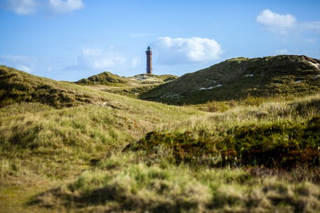 Feeloona Lighthouse 4890873