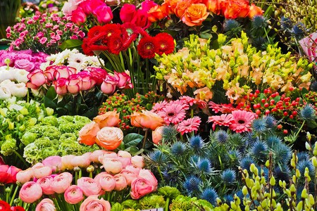 Flowers 3231099 1280