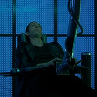 De entre todos los grandes estrenos del principio de los 2000, ¿por qué la película más robada de los videoclubs tenía que ser esta? 