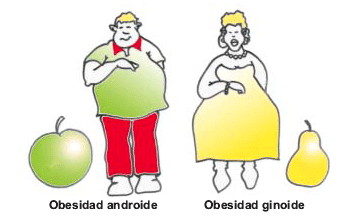 Obesidad: tu cuerpo es....¿Pera o manzana?