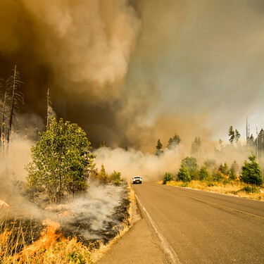 Los incendios han crecido ya un 218% en lo que va de año y aún no ha llegado el verano 