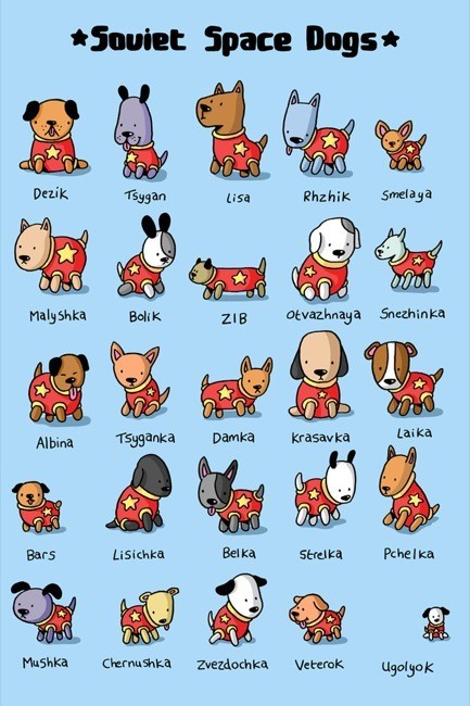 Los perros que formaron parte del programa espacial soviético en un cartel para decorar
