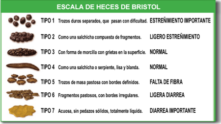 Formato ideal das fezes: Tipos 3 e 4