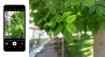 Efecto Bokeh Camara Traera