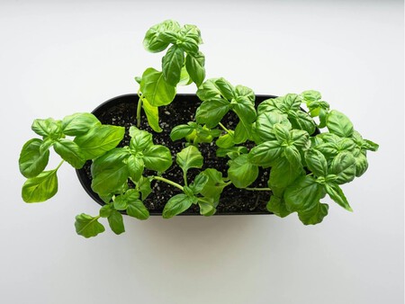 Copia De Plantilla 1200x900 13