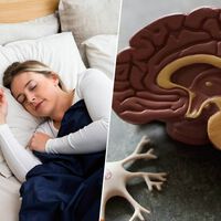 Olvidar los sueños al despertar parecía una anécdota sin importancia. Un macroestudio español lo ha vinculado con el alzhéimer  