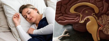 Olvidar los sueños al despertar parecía una anécdota sin importancia. Un macroestudio español lo ha vinculado con el alzhéimer  