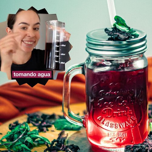 Mon Alimentos, ingeniera en alimentos: “la flor de jamaica no se prepara en agua hirviendo porque pierde sus propiedades”
 