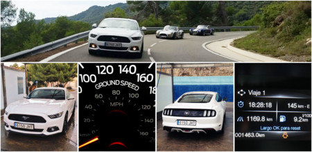 Participamos en el 7º Encuentro Europeo Cobra con el nuevo Ford Mustang