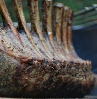 Las carnes en la alimentación infantil: el cordero y el cabrito