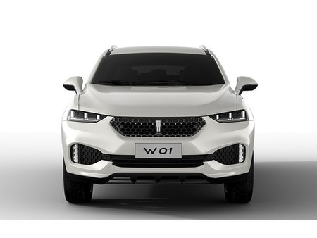 Wey 01