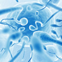Un laboratorio francés crea espermatozoides humanos in vitro, ¿revolución en los tratamiento de fertilidad?
