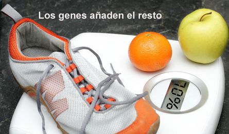 Dieta deportista