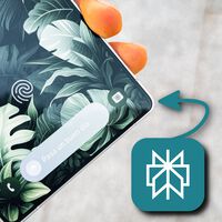 La exclusividad de Gemini se pierde: incluso Samsung ya se plantea añadir Perplexity en los Galaxy S26