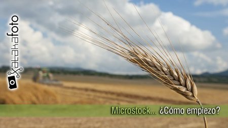 Microstock... ¿Cómo empiezo? (y III)