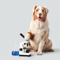 Cachorros conseguem prever o diagnóstico de câncer até 18 meses antes dos exames — descubra o segredo oculto na saliva 