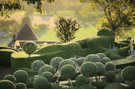 Marqueyssac Jardins 04