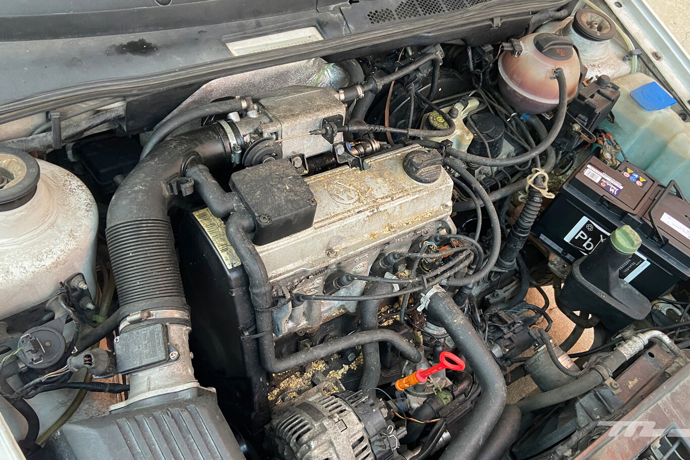 Rata Rata Rpm Motor Huela a rayos y no arranca. Una rata se instaló en mi coche y ahora no ...