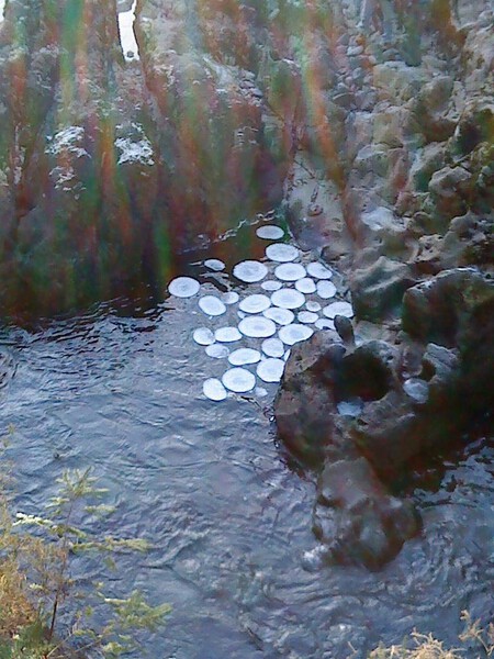 Ice Circles In The River Llugwy At Betws Y Coed 31 12 08