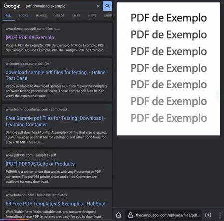 Chrome PDF