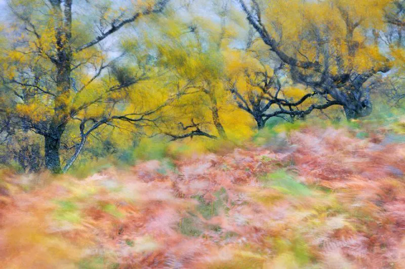 Foto de Mundo Vegetal (6/10)