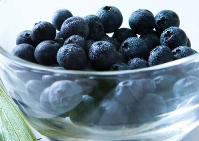 Arándano, un pequeño fruto bondadoso con la salud