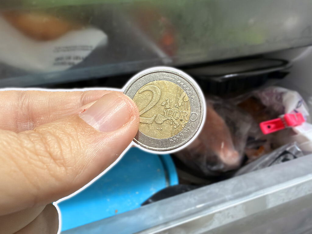 Algunas personas guardan una moneda en el congelador cuando se van de vacaciones: la alternativa low cost a los enchufes conectados