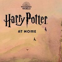 'Harry Potter at Home', la web para que los fans de Harry Potter se diviertan y aprendan durante la cuarentena