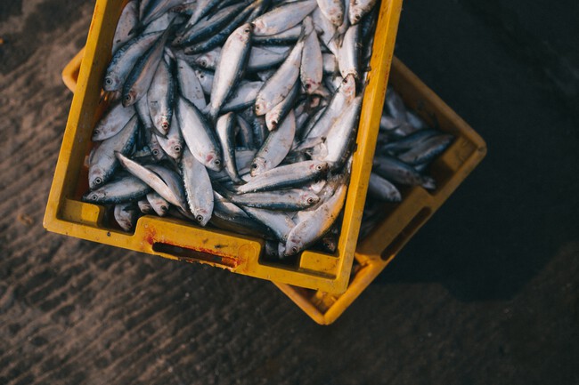 Nguyen Linh Wpjygs79jma Unsplash