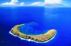 Maui Molokini