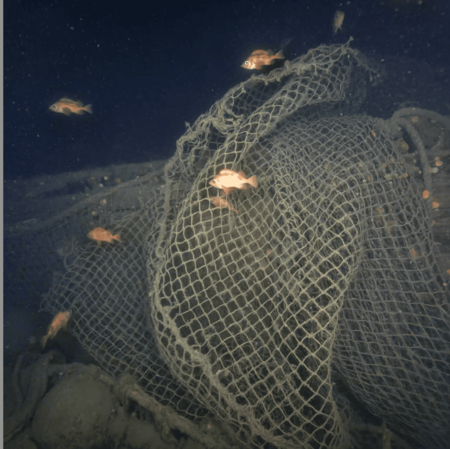 Nets From Quest