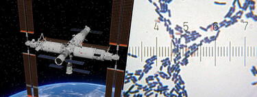Problema não é o fato de termos encontrado bactérias em uma estação espacial; a questão é que se trata de uma nova espécie 
