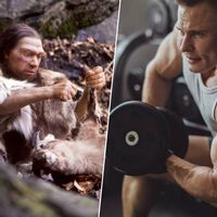 Los neandertales eran una mole de músculo. La ciencia acaba de descubrir por qué algunos de nosotros hemos heredado ese "gimnasio genético"