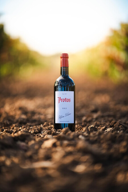 Protos Roble Vino Tinto