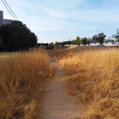 Foto 5 de 9 de la galería fotos-moto-g4-play en Xataka Android