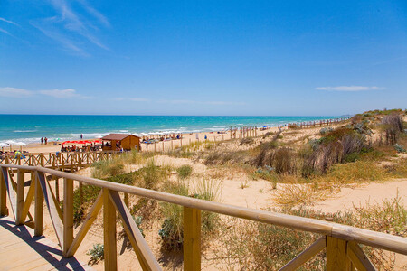 Playa Guardamar Dunas11