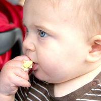 Recomendaciones para la elaboración del menú infantil: de seis meses a un año