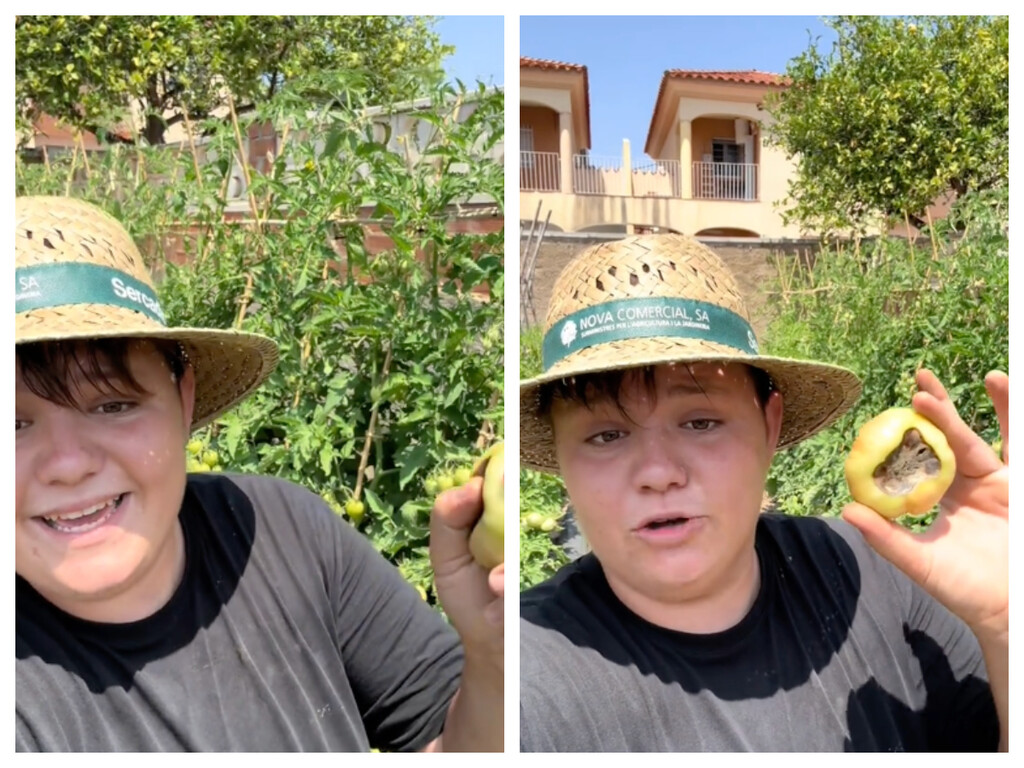 Marc, experto en horticultura: “Si tu tomate tiene el culo negro, a la planta le falta calcio”