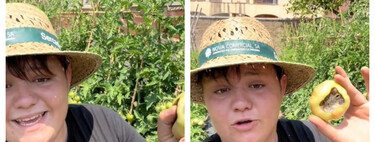 Marc, experto en horticultura ecológica: “Si tu tomate tiene el culo negro, a la planta le falta calcio” 