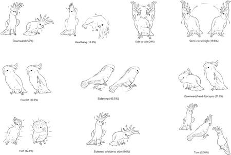 Journal Pone 0328487 G001