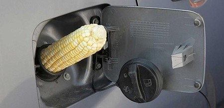Un importante paso hacia biocombustibles eficaces