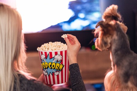 Perro viendo una película con su dueña