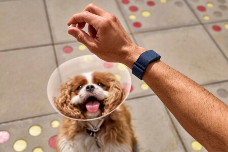 Garmin Lanza Pulsera Sin Pantalla Salud Cirqa Smart Band Xataka Mexico 3